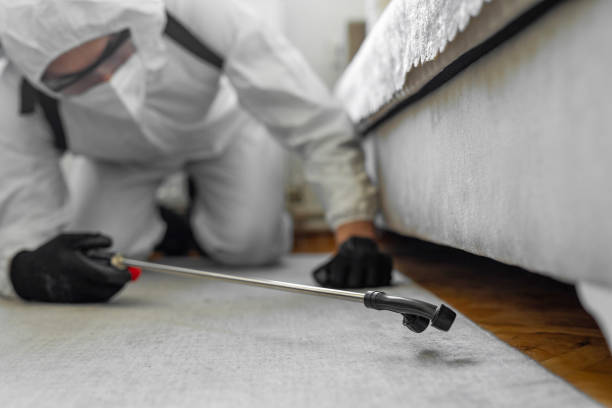 Professional Cockroach Control technician working in Terra Bella, CA