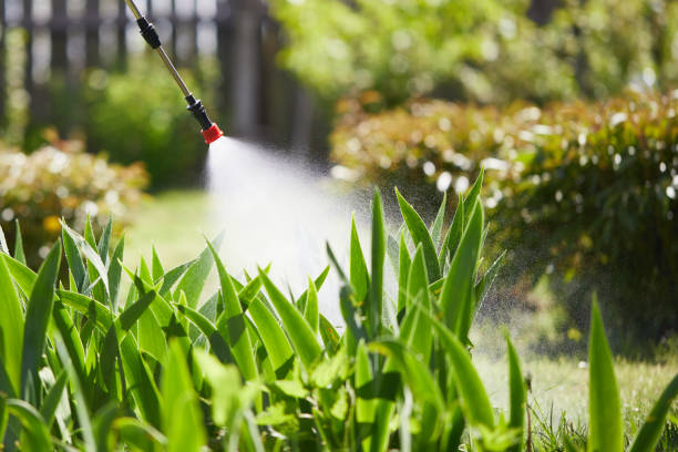 24/7 Emergency Cockroach Control experts in Terra Bella, CA