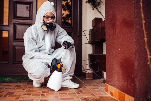 Reliable Cockroach Control contractor in Terra Bella, CA by Nex Pest Control